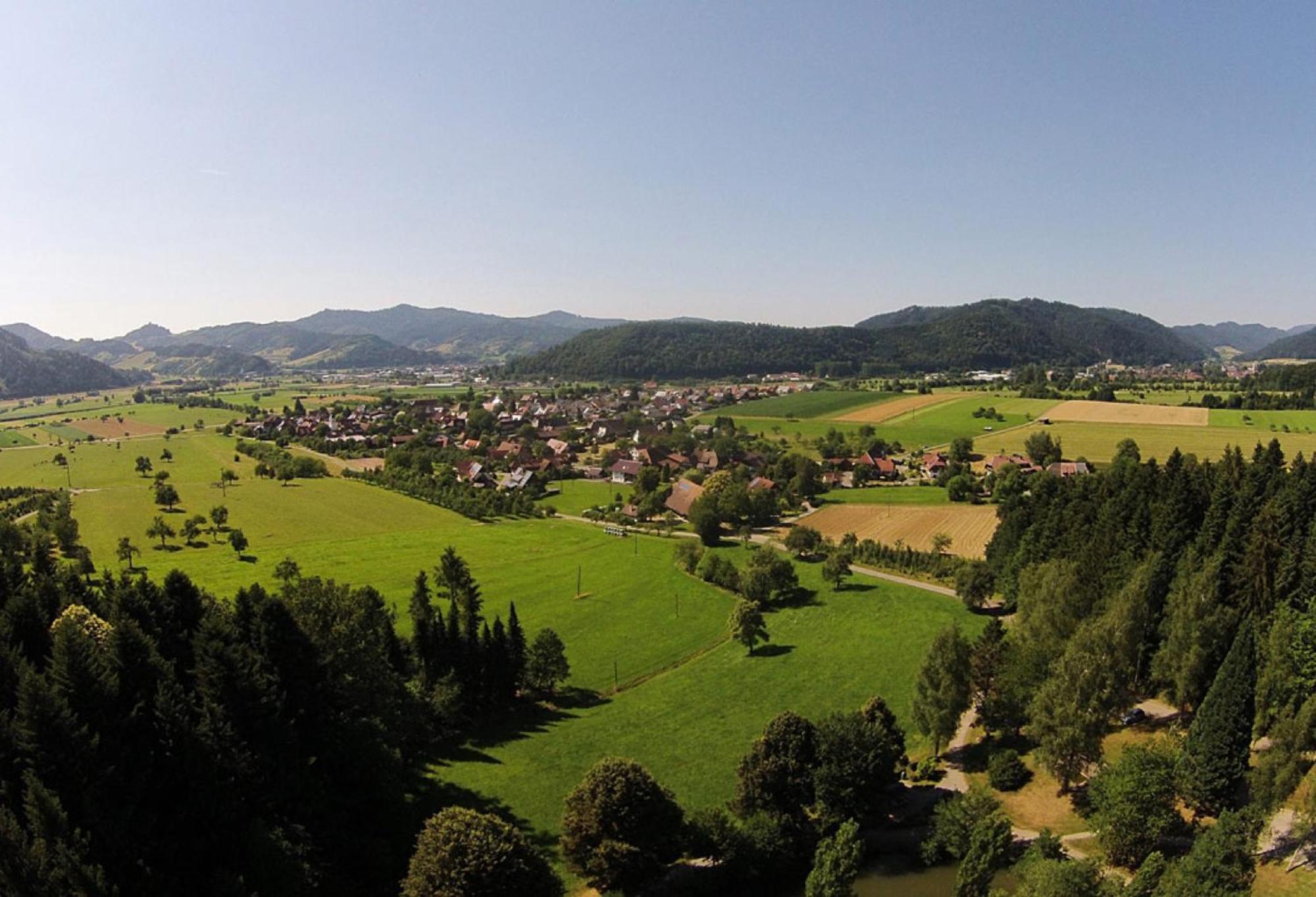 Apartamento Haus Irmgard Zell am Harmersbach Exterior foto